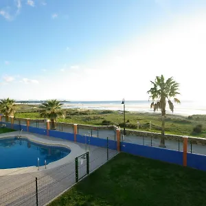 Livingtarifa Agaporni Tarifa